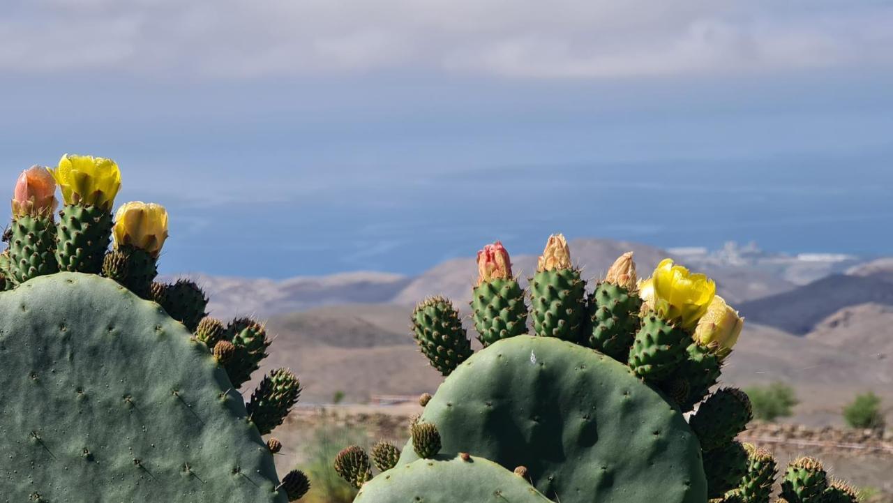 Puerto Rico Top Teide And Amadores View Puerto Rico (Gran Canaria) Exterior foto