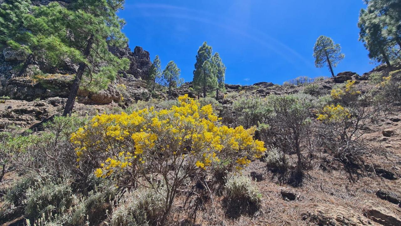 Puerto Rico Top Teide And Amadores View Puerto Rico (Gran Canaria) Exterior foto
